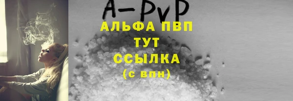 сатива Баксан