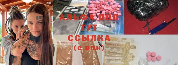сатива Баксан
